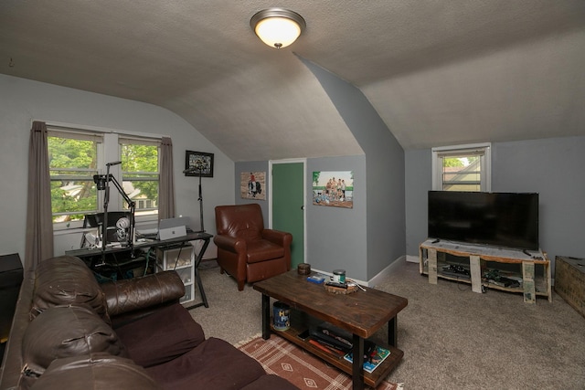 1126 7th Ave SE, Rochester, MN 55904 - carpeted living area with vaulted ceiling and healthy amount of natural light