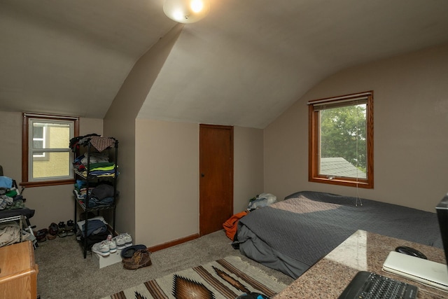 1126 7th Ave SE, Rochester, MN 55904 - carpeted bedroom with vaulted ceiling and multiple windows
