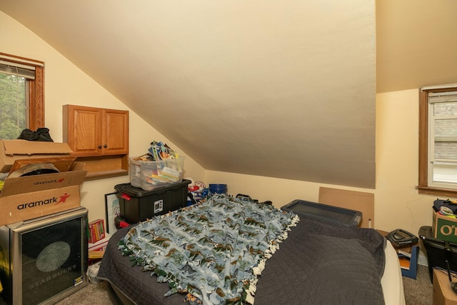 1126 7th Ave SE, Rochester, MN 55904 - carpeted bedroom featuring lofted ceiling