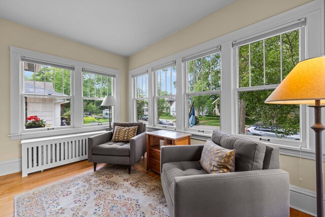 4817 Emerson Ave S, Minneapolis, MN 55419 - sunroom with radiator heating unit
