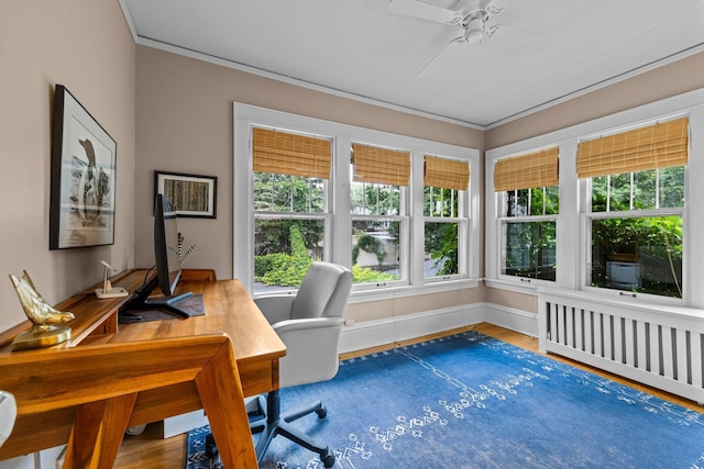 4817 Emerson Ave S, Minneapolis, MN 55419 - office space featuring ceiling fan, wood finished floors, crown molding, and radiator