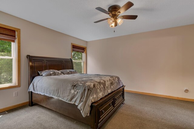 6023 County Road 136, Saint Augusta, MN 56301 - photo 19
