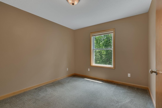 6023 County Road 136, Saint Augusta, MN 56301 - photo 22