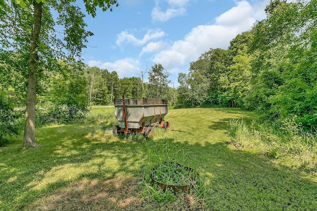 6023 County Road 136, Saint Augusta, MN 56301 - photo 35