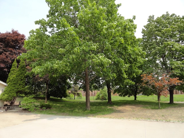 9540 24th Ave N, Plymouth, MN 55441 - view of yard