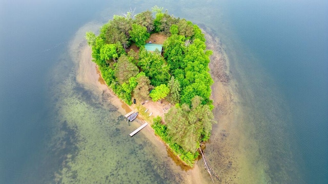 30901 Sunny Beach Rd, Grand Rapids, MN 55744 - aerial view