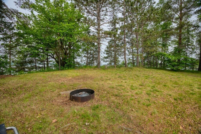 30901 Sunny Beach Rd, Grand Rapids, MN 55744 - view of green lawn