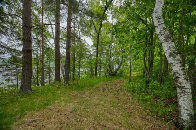 30901 Sunny Beach Rd, Grand Rapids, MN 55744 - view of tree filled area