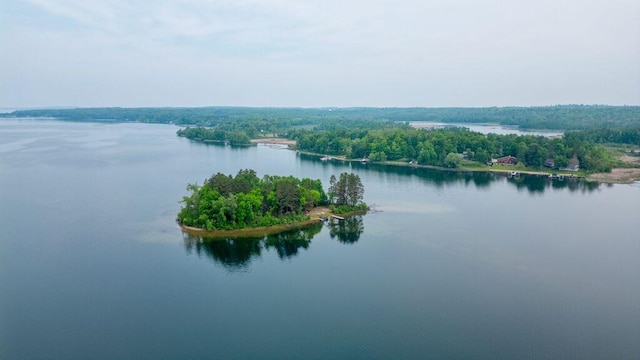 30901 Sunny Beach Rd, Grand Rapids, MN 55744 - water view
