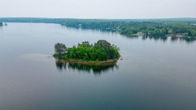 30901 Sunny Beach Rd, Grand Rapids, MN 55744 - water view