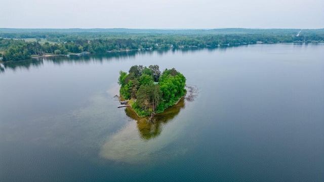 30901 Sunny Beach Rd, Grand Rapids, MN 55744 - water view