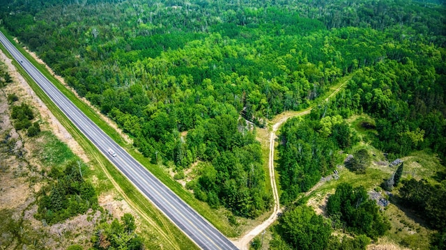 15989 Lost Oaks Dr SE, Cass Lake, MN 56633 - view of property location featuring a forest and a highway