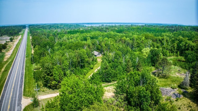 15989 Lost Oaks Dr SE, Cass Lake, MN 56633 - aerial view of a forest