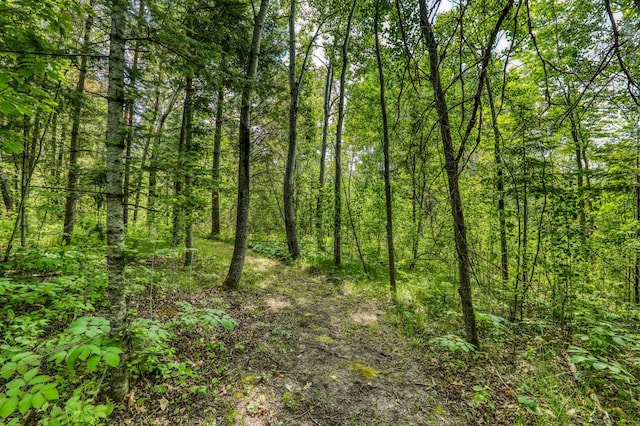 15989 Lost Oaks Dr SE, Cass Lake, MN 56633 - view of tree filled area