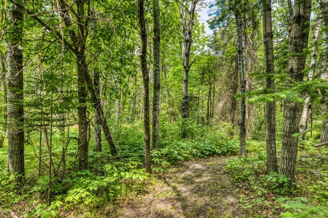 15989 Lost Oaks Dr SE, Cass Lake, MN 56633 - view of wooded area