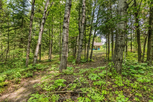 15989 Lost Oaks Dr SE, Cass Lake, MN 56633 - view of undeveloped land