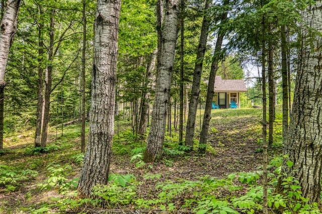 15989 Lost Oaks Dr SE, Cass Lake, MN 56633 - view of yard