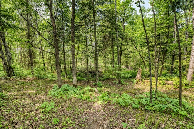 15989 Lost Oaks Dr SE, Cass Lake, MN 56633 - view of wooded area