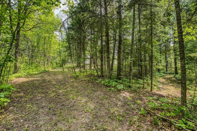 15989 Lost Oaks Dr SE, Cass Lake, MN 56633 - view of tree filled area