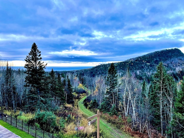 122 Bridge Run Ln Unit A, Lutsen Twp, MN 55615 - view of mountain backdrop featuring a forest
