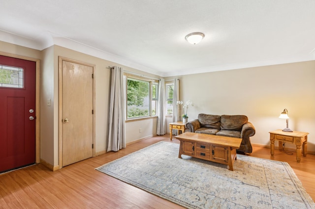 348 6th Ave S, Saint Cloud, MN 56301 - living area with light wood-style flooring, baseboards, and crown molding