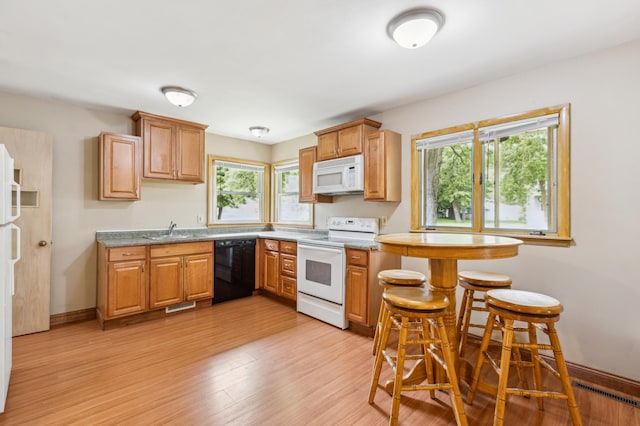 348 6th Ave S, Saint Cloud, MN 56301 - kitchen with white appliances, a sink, light wood-type flooring, a baseboard radiator, and healthy amount of natural light