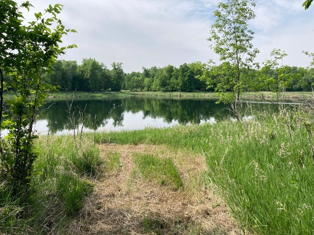 000 200th St, Lake Park Twp, MN 56554 - photo 4