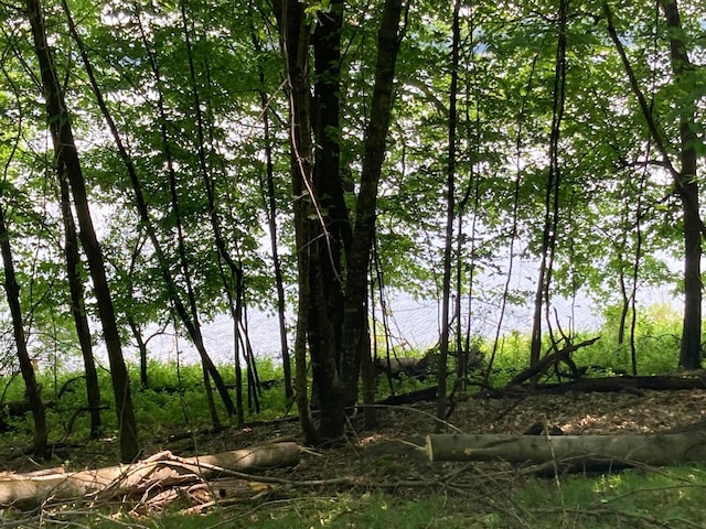 000 200th St, Lake Park Twp, MN 56554 - photo 12