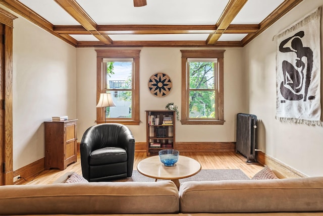 1112 25th St Unit 203, Minneapolis, MN 55405 - living room with radiator, coffered ceiling, light wood-type flooring, beam ceiling, and baseboards