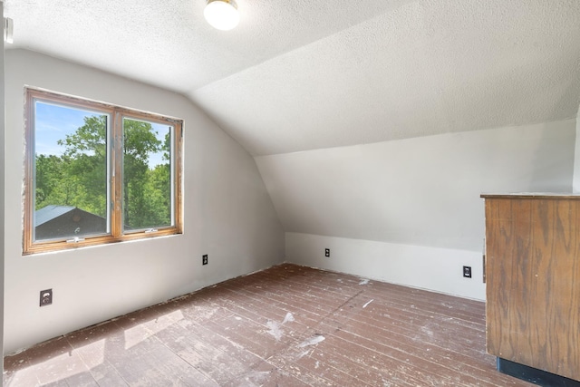 7627 Main St, Danbury, WI 54830 - bonus room featuring lofted ceiling and a textured ceiling