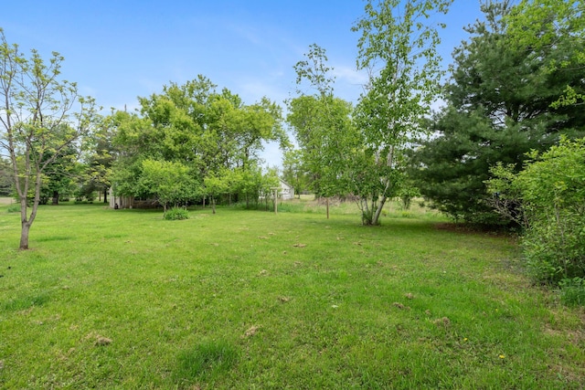 7627 Main St, Danbury, WI 54830 - view of grassy yard