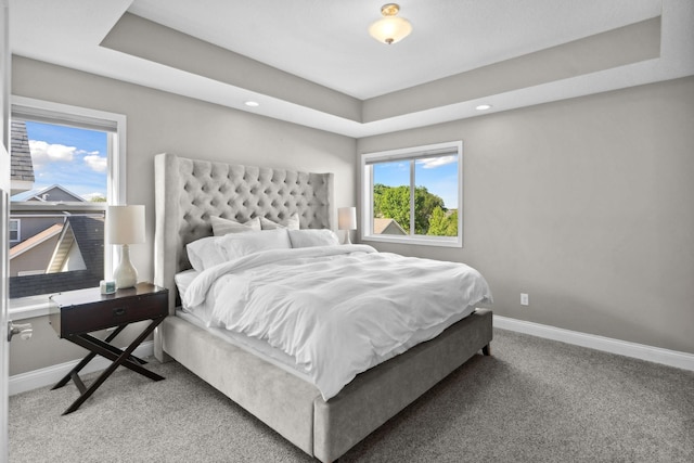 2908 Mark Twain Dr, Chaska, MN 55318 - carpeted bedroom featuring baseboards, recessed lighting, and a raised ceiling