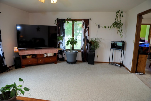 2490 70th St SW, Appleton, MN 56208 - photo 4