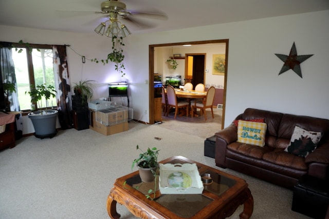2490 70th St SW, Appleton, MN 56208 - photo 5