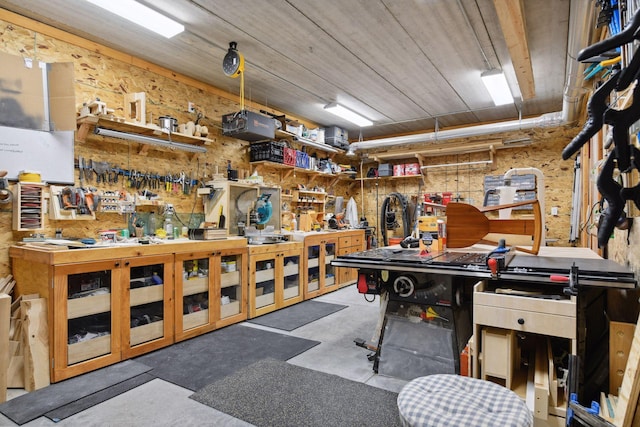 3100 Island View Dr, Mound, MN 55364 - misc room featuring a workshop area and concrete flooring