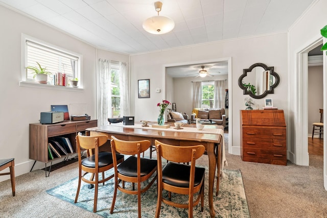 662 24th Ave NE, Minneapolis, MN 55418 - dining room featuring carpet, crown molding, and a ceiling fan