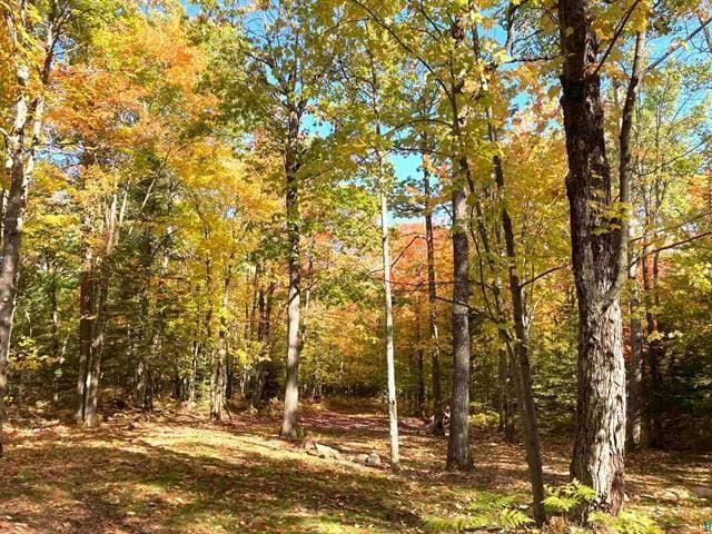 14334 Eagles Ridge Rd, Brule, WI 54820