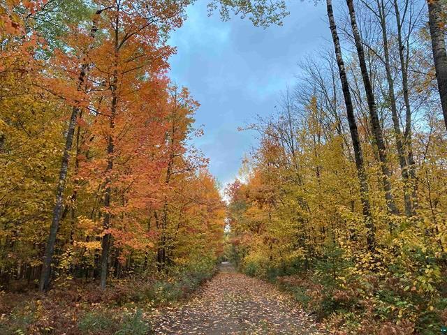 14334 Eagles Ridge Rd, Brule, WI 54820