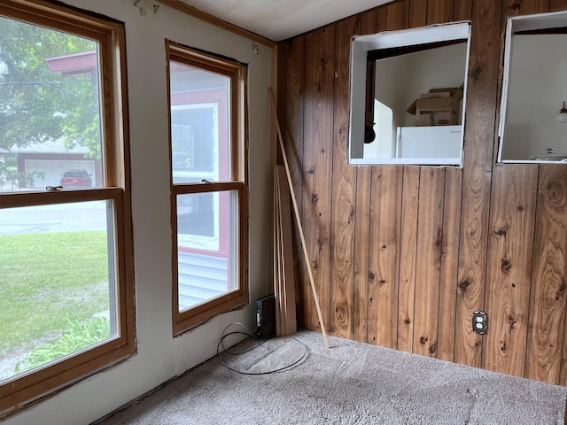 845 12th St, Windom, MN 56101 - detailed view of carpet floors and wooden walls
