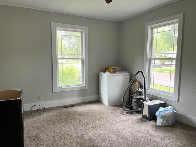 845 12th St, Windom, MN 56101 - miscellaneous room featuring plenty of natural light and carpet