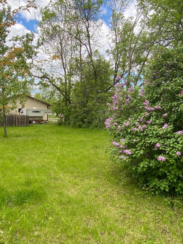 1004 9th St 1006, International Falls, MN 56649 - view of yard