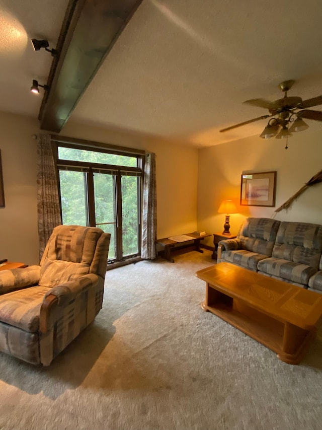 1004 9th St 1006, International Falls, MN 56649 - living room featuring carpet and a ceiling fan