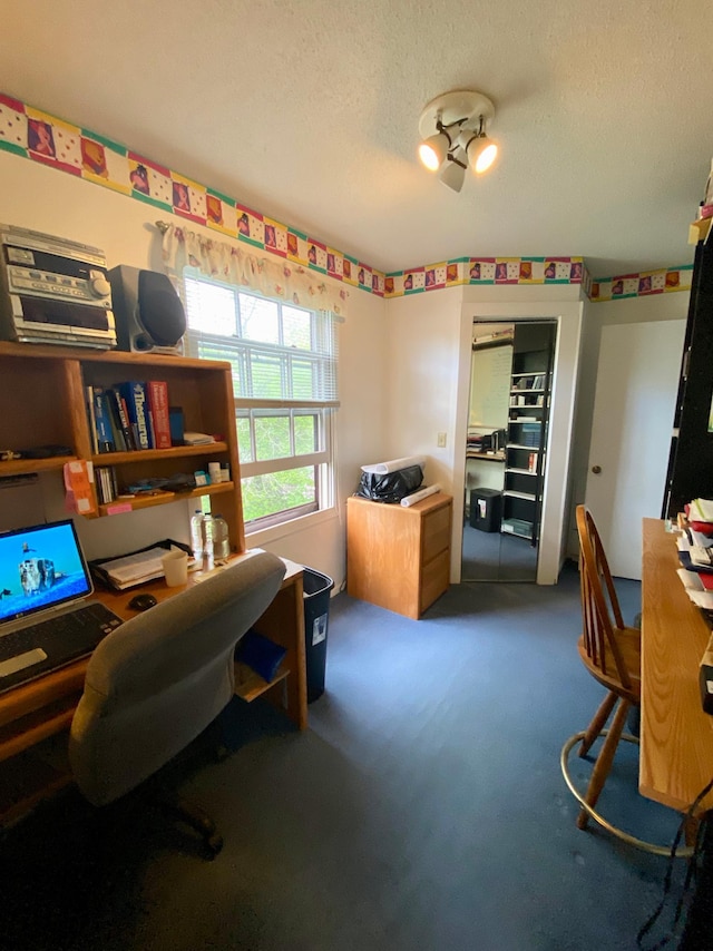 1004 9th St 1006, International Falls, MN 56649 - office space with carpet flooring and a textured ceiling