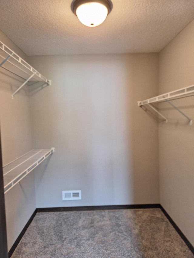 7850 Lachman Ave NE, Otsego, MN 55301 - spacious closet with carpet floors