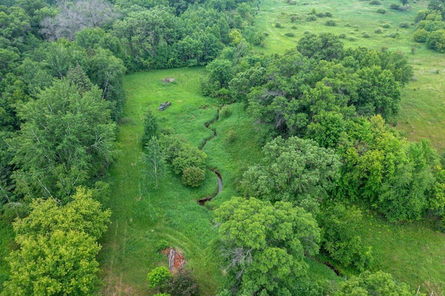 7567 Lent Trl, Lent Twp, MN 55079 - aerial view of property and surrounding area with a heavily wooded area