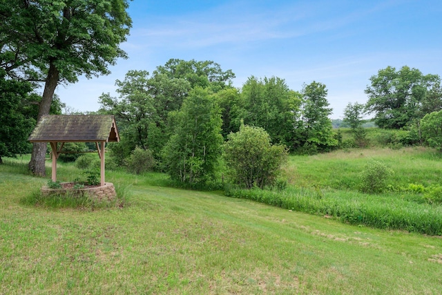 7567 Lent Trl, Lent Twp, MN 55079 - view of yard