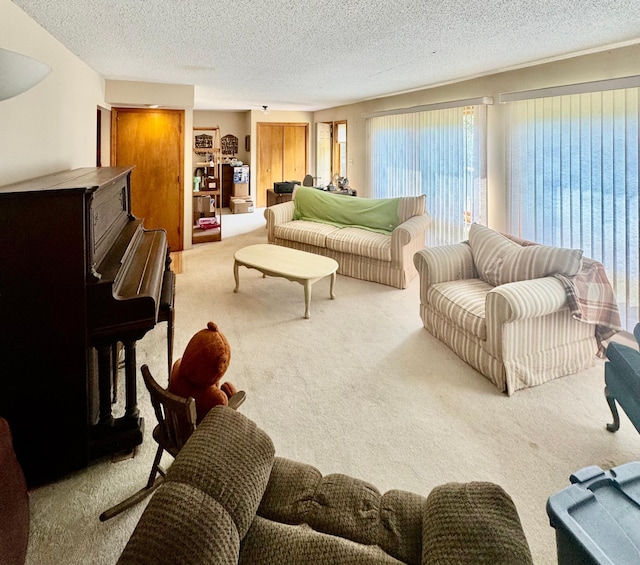 1831 State Highway 11 SE, Gudrid Twp, MN 56623 - carpeted living room with a textured ceiling
