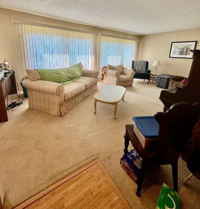 1831 State Highway 11 SE, Gudrid Twp, MN 56623 - living area with carpet floors and a textured ceiling