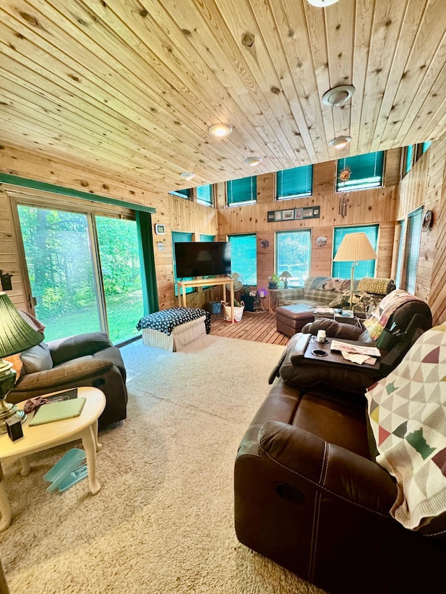 1831 State Highway 11 SE, Gudrid Twp, MN 56623 - living area with wood walls, wooden ceiling, and carpet floors