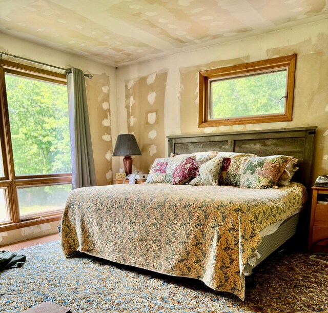 1831 State Highway 11 SE, Gudrid Twp, MN 56623 - bedroom featuring multiple windows